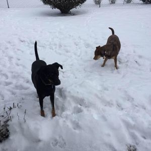 Meet your Posher, Lynn